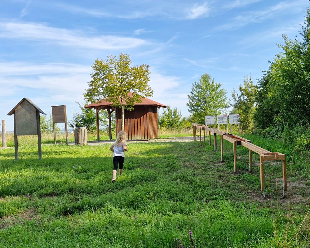 Kugelbahn aus Holz
