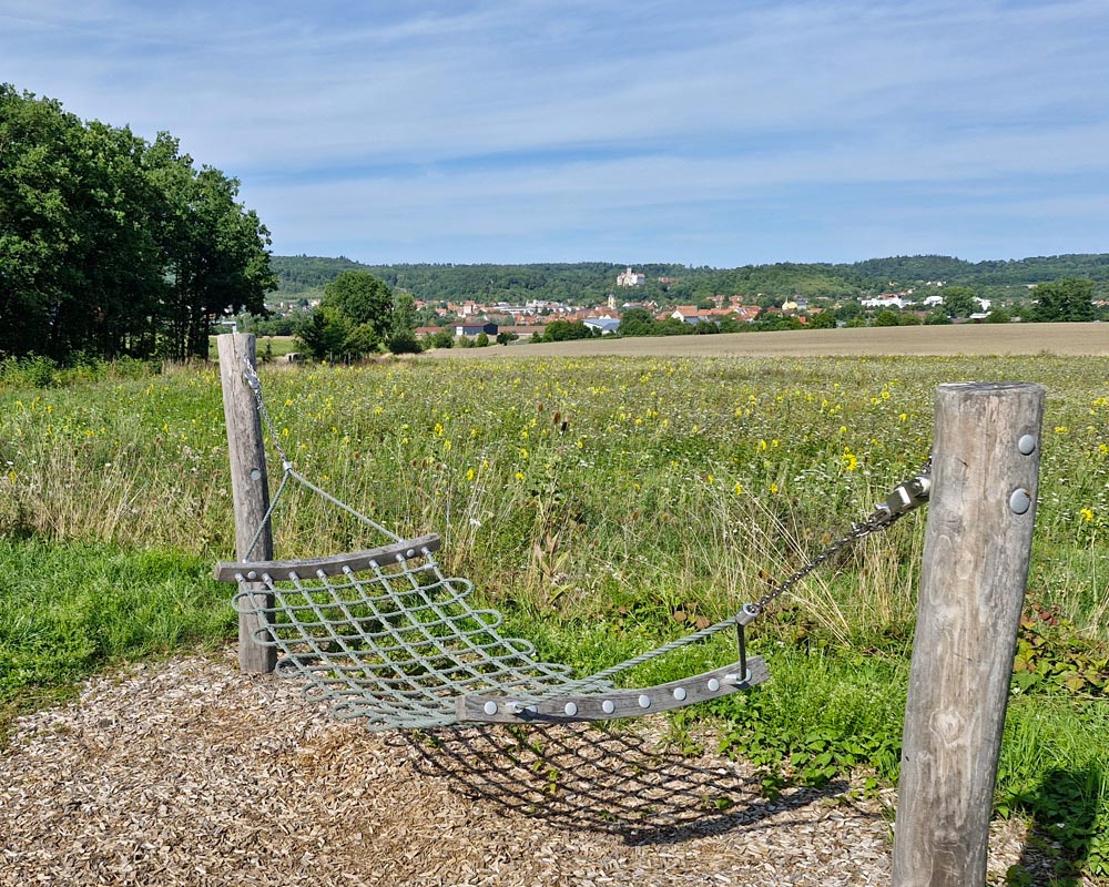 Blick auf Scheinfeld mit Hängeschaukel und Blühwiese im Vordergrund