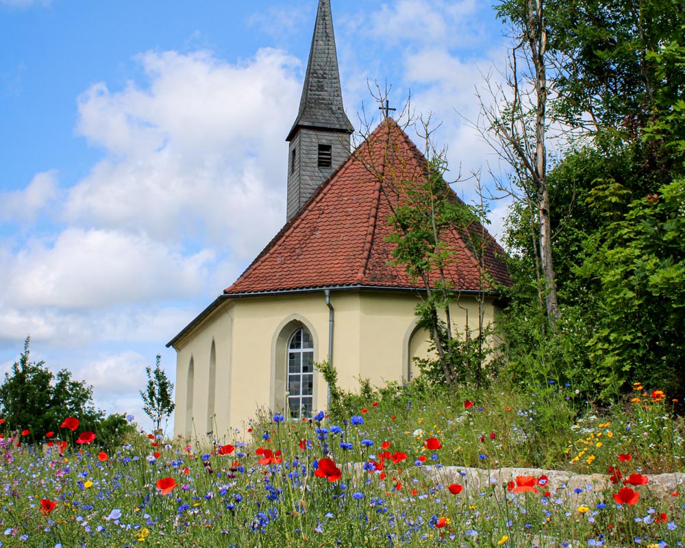 Blühwiese vor einer Kapelle