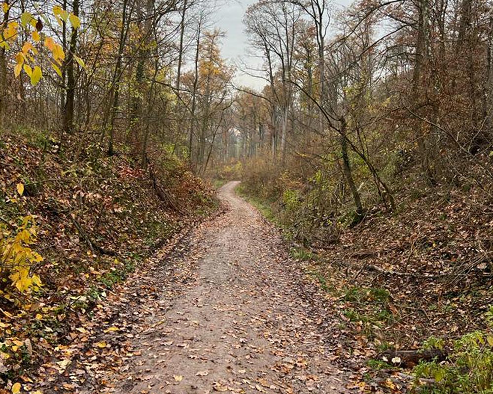 Blick auf einen Hohlweg