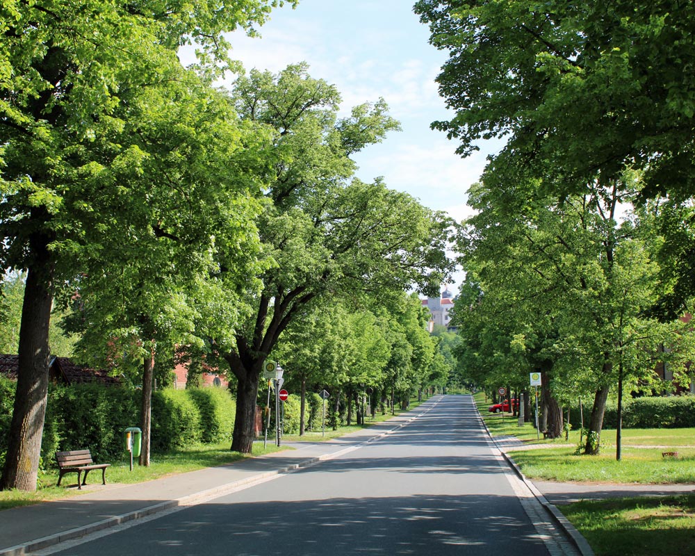 Blick in die Lindenallee